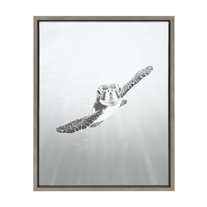 Sylvie Sea Turtle Framed Canvas by Simon Te of Tai Prints