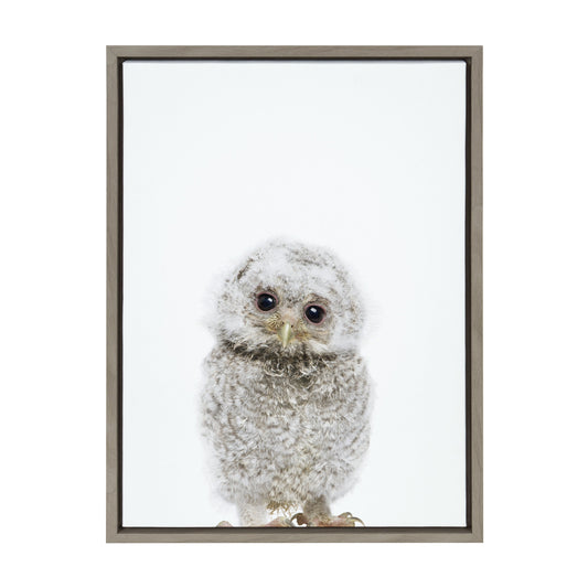 Owl Portrait Framed Canvas Wall Art, Woodland Nursery Decor