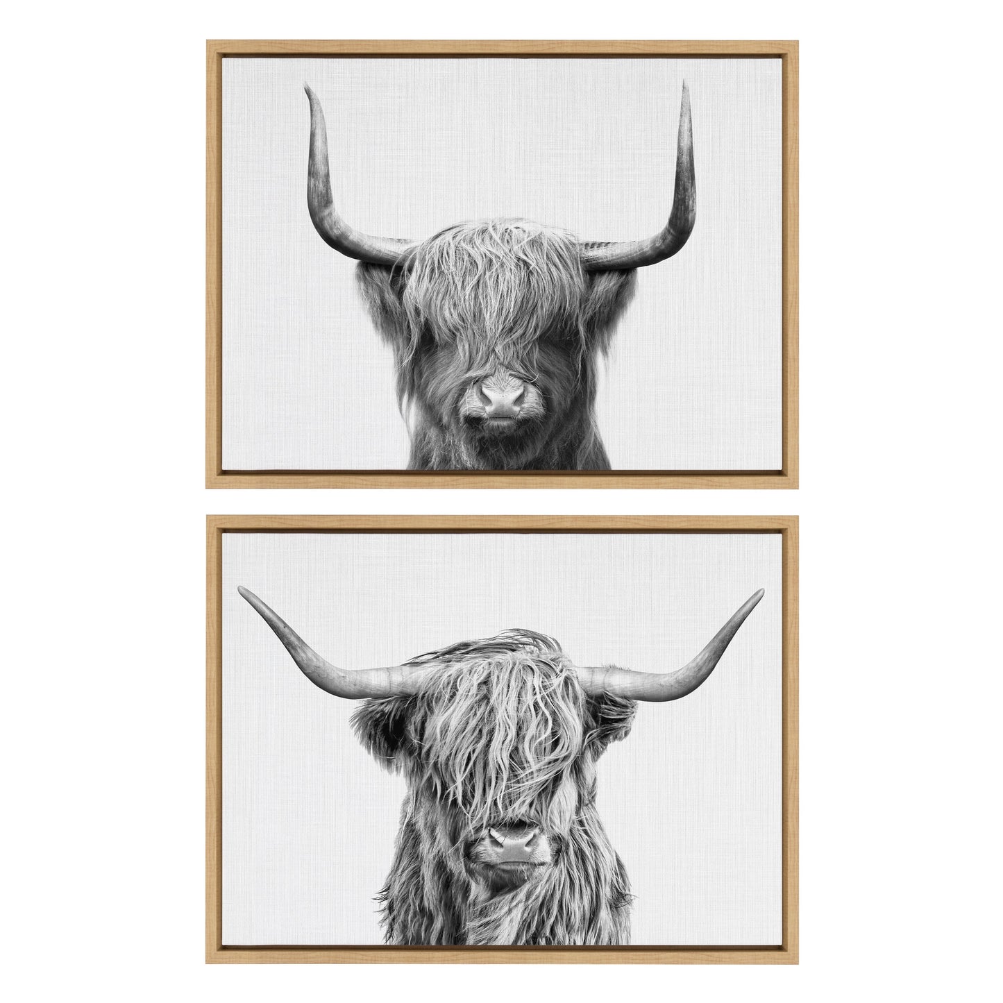 Highland Cow Duo 2 Piece Framed Canvas Art Set