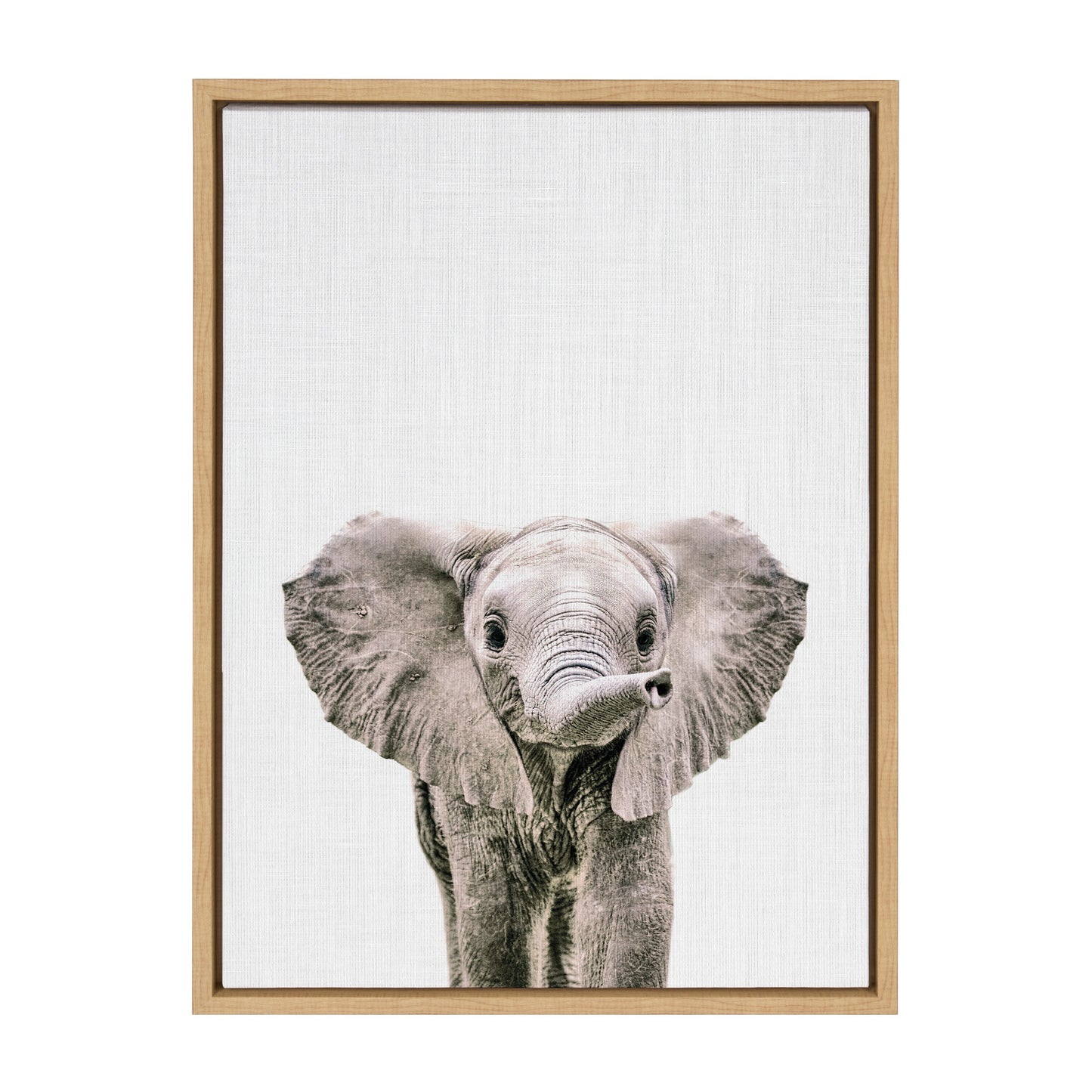 Sylvie Baby Elephant Color Framed Canvas by Simon Te of Tai Prints