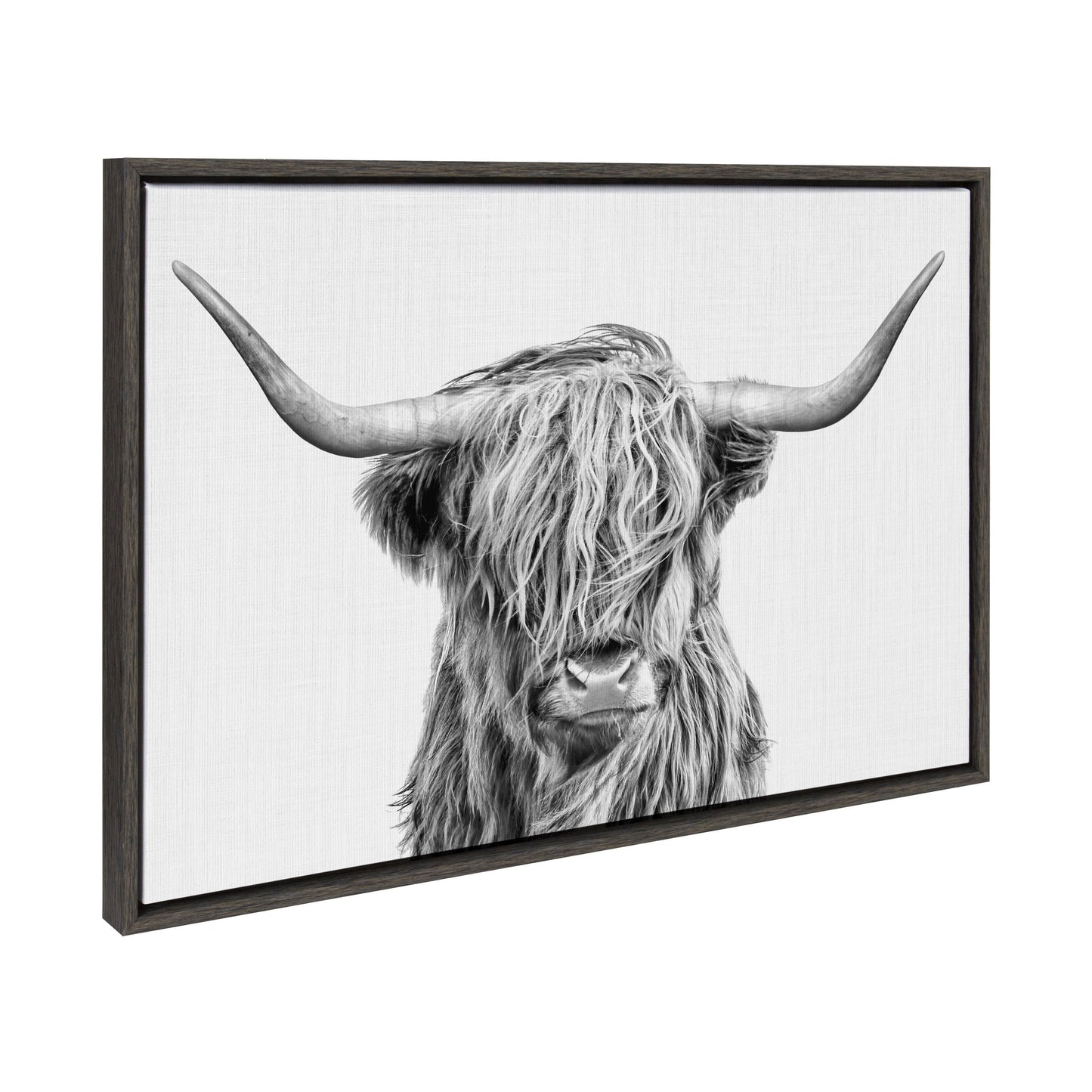 Highland Cow Framed Canvas Wall Art