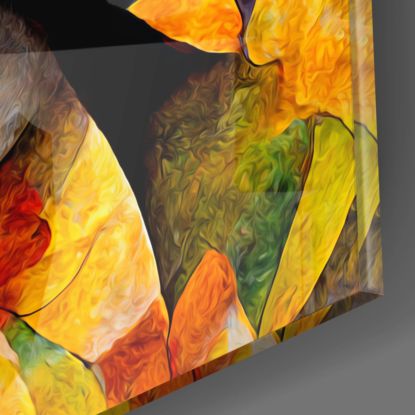 Amigucat Glass Wall Art