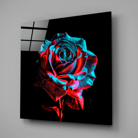 Red and turquoise rose on black glass wall art on a gray wall with a window reflection in the glossy front