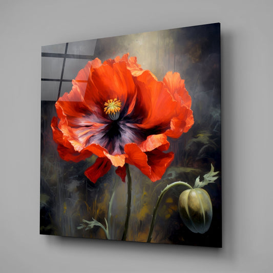 Red poppy and bud on smoky gray glass wall art on a gray wall with a window reflection in the glossy front