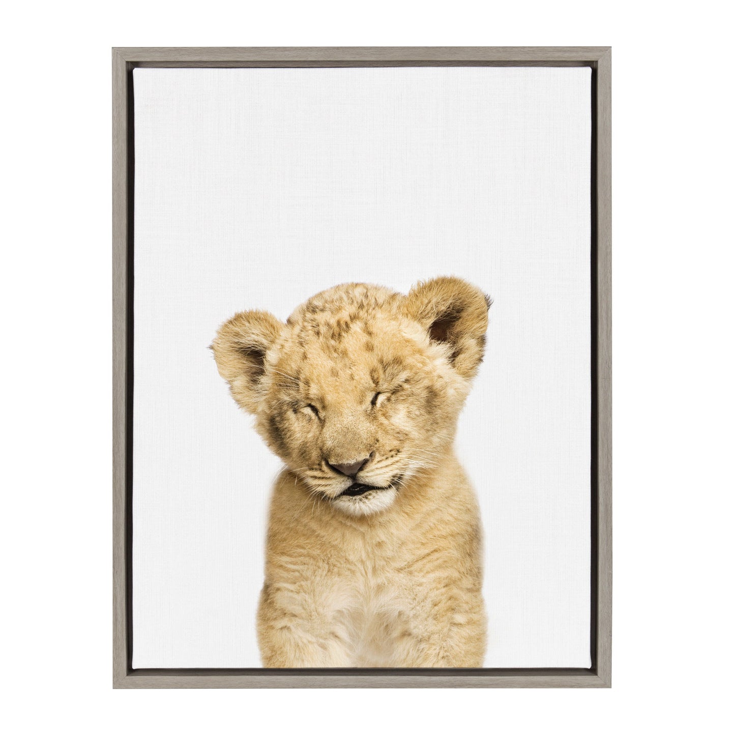 Framed canvas portrait of a sleepy lion with tousled mane for safari nursery wall decor