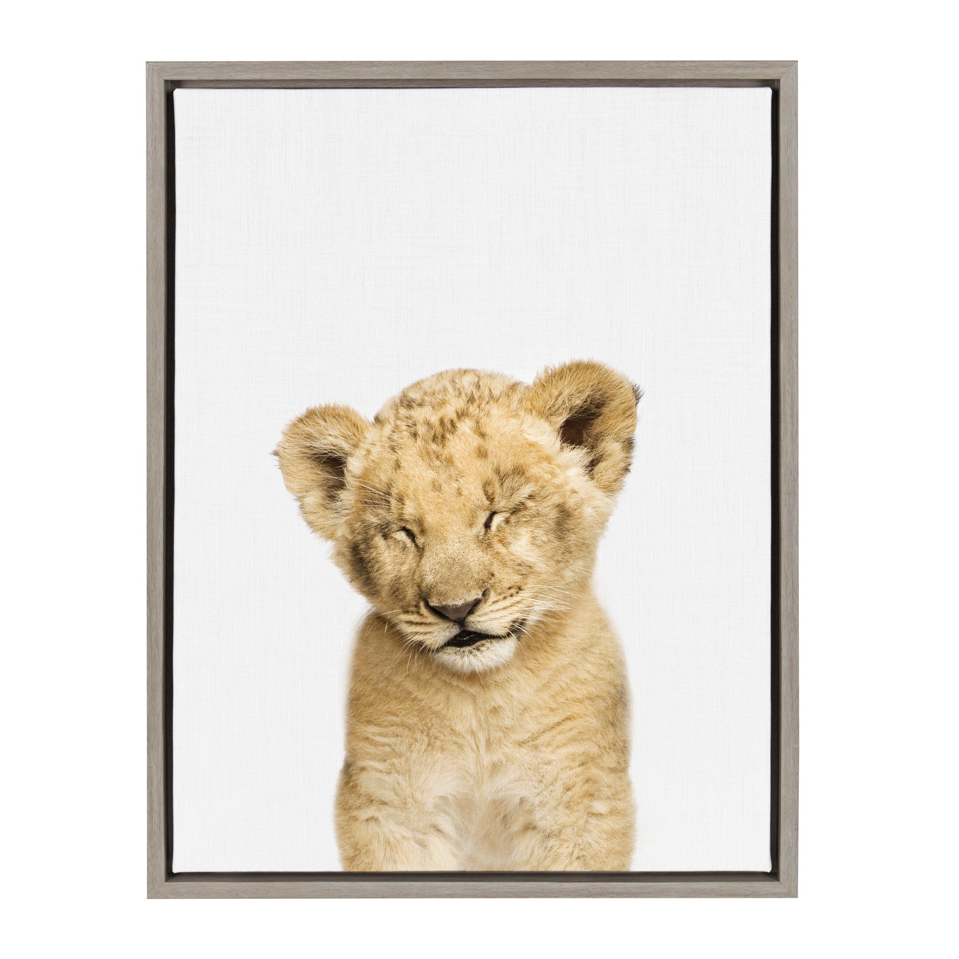 Framed canvas portrait of a sleepy lion with tousled mane for safari nursery wall decor