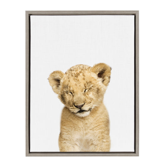Framed canvas portrait of a sleepy lion with tousled mane for safari nursery wall decor