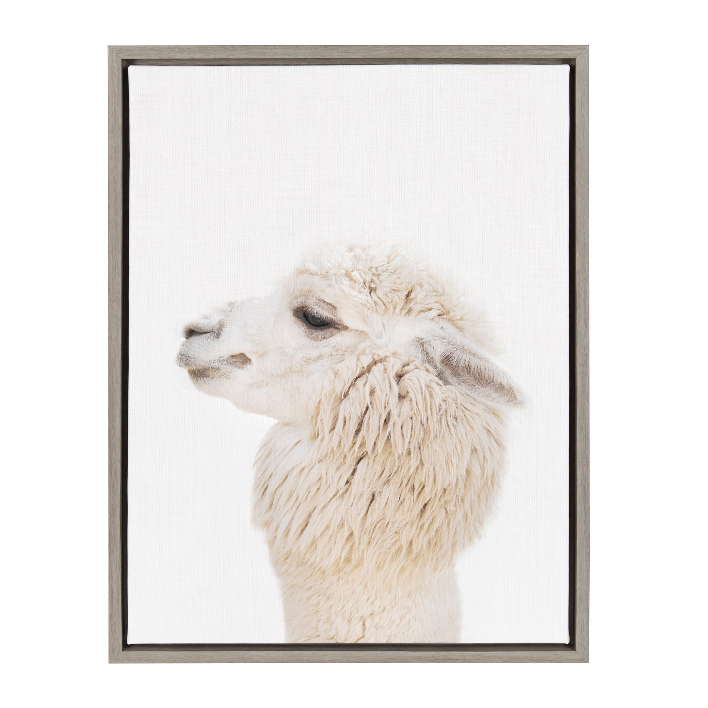 Alpaca Profile Framed Canvas Wall Art, Boho Farmhouse Decor