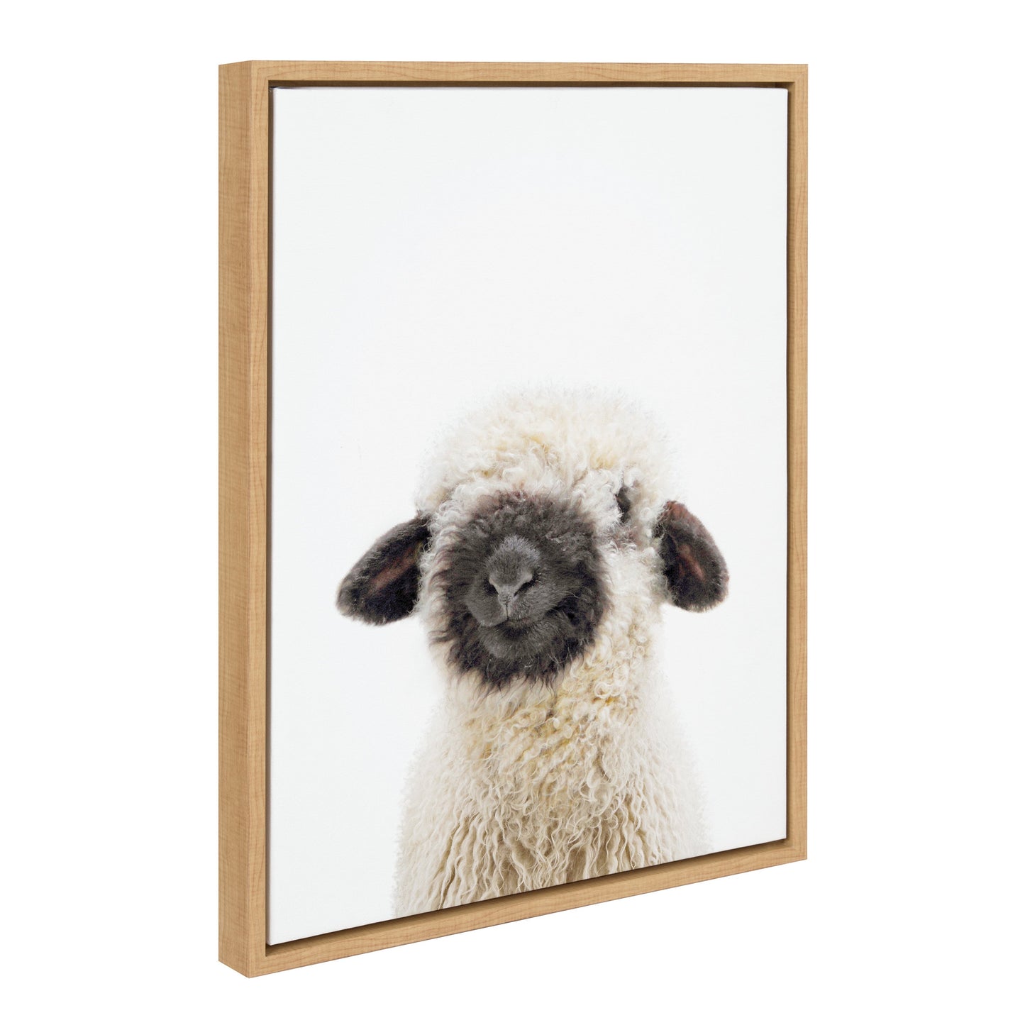 Black Nosed Sheep Framed Canvas Wall Art, Farmhouse Decor