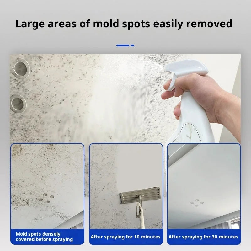 spraying wall mold remover to clean large mold spots on ceilings and tiles