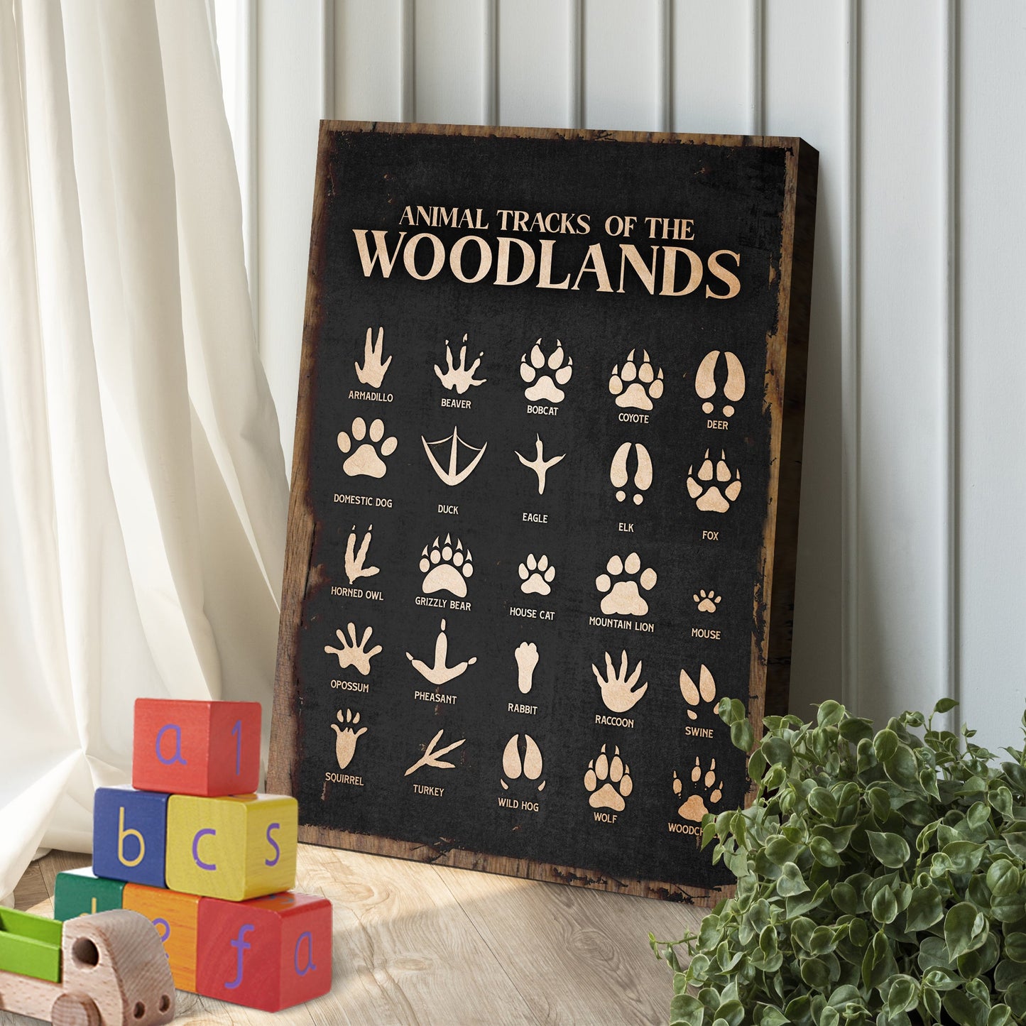 Animal Tracks Of The Woodlands Canvas Wall Art