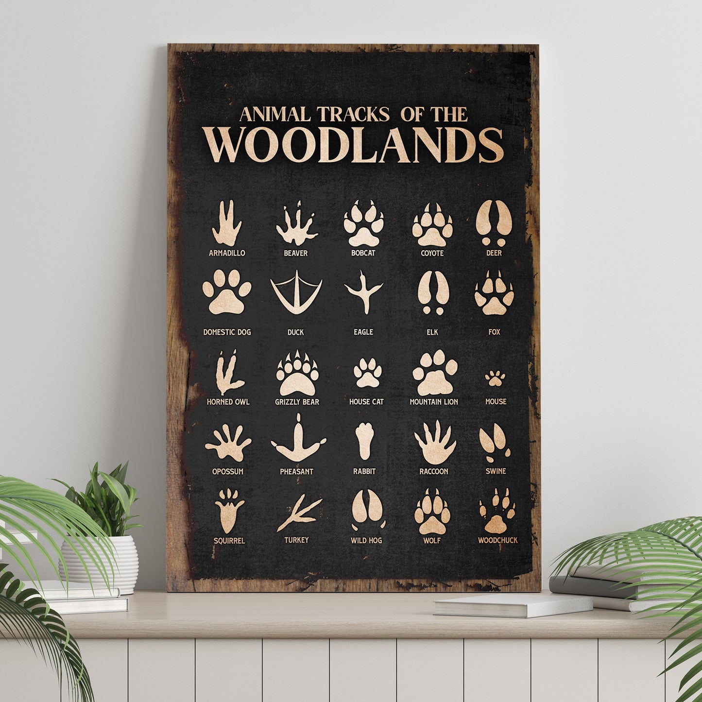 Animal Tracks Of The Woodlands Canvas Wall Art