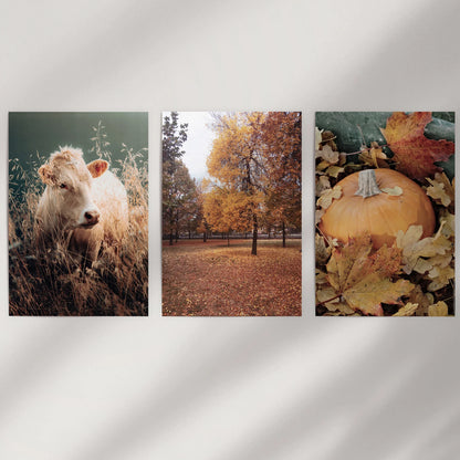 Autumn Farmhouse Wall Art Set of 3 Cow and Fall Prints