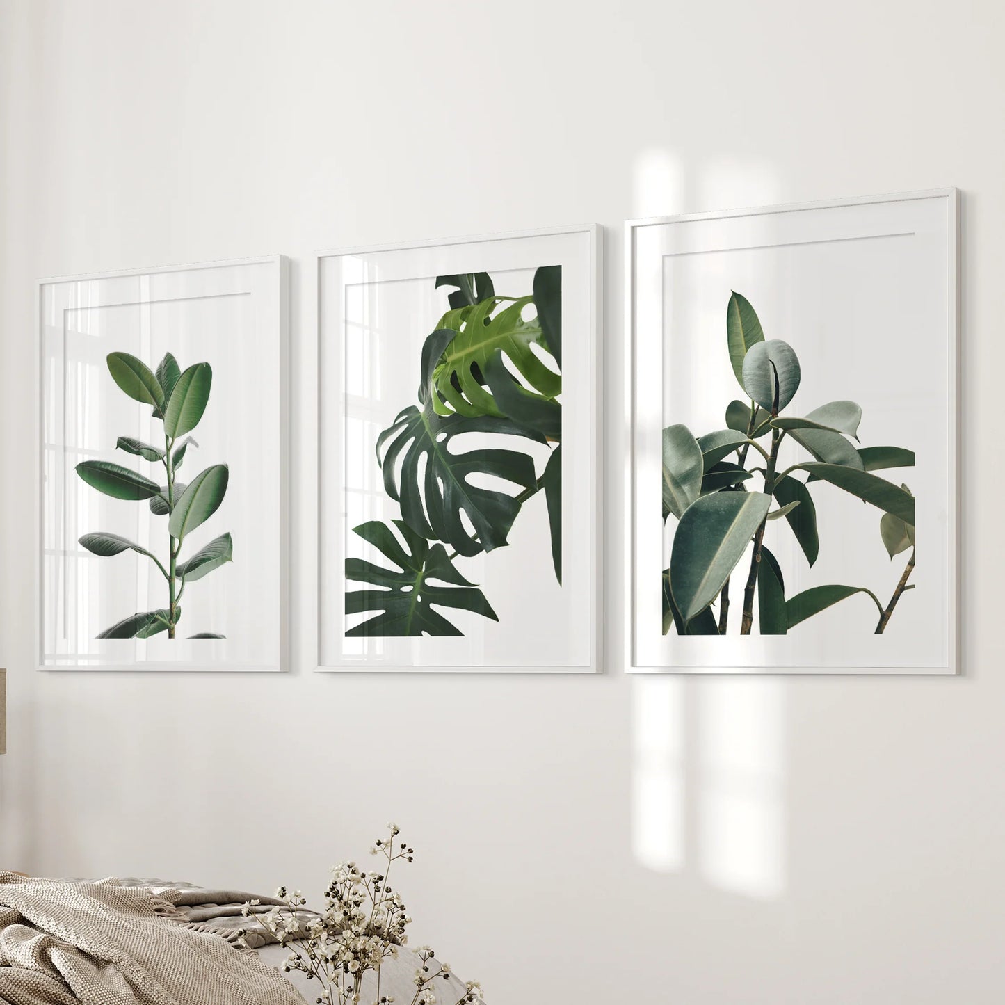 Tropical Botanical Wall Art Set of 3 Monstera Prints