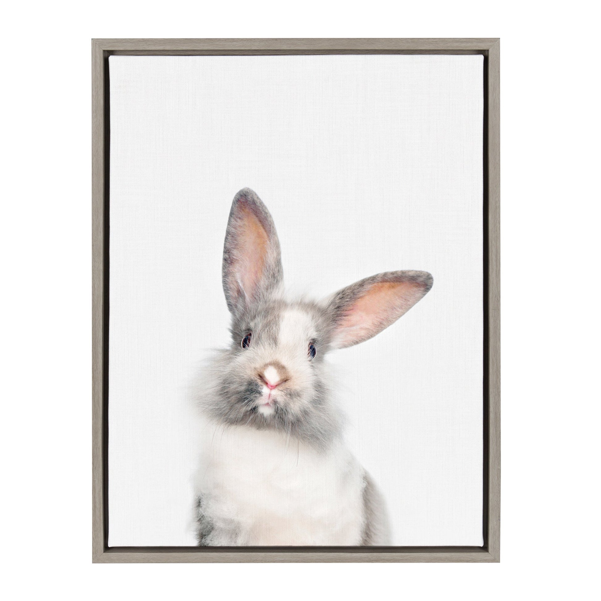 Framed canvas portrait of a soft-eyed rabbit for nursery and cottage wall decor