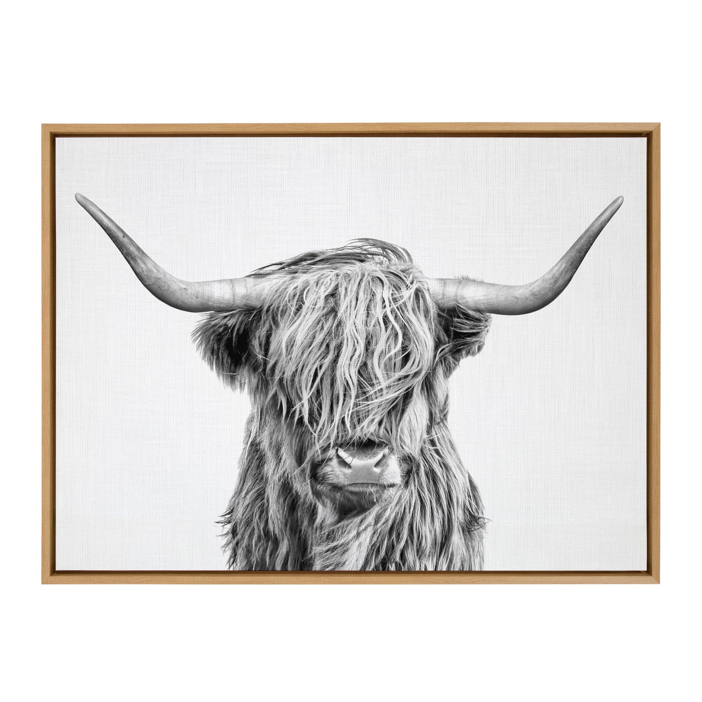 Highland Cow Framed Canvas Wall Art