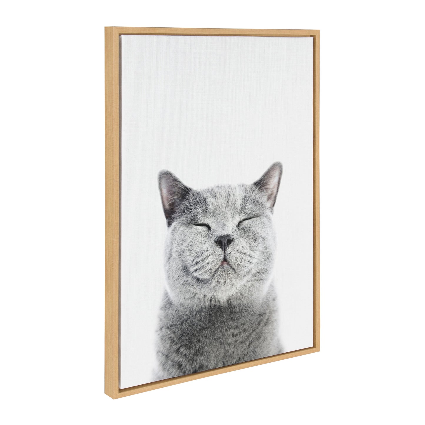 Smiling Cat Framed Canvas Wall Art