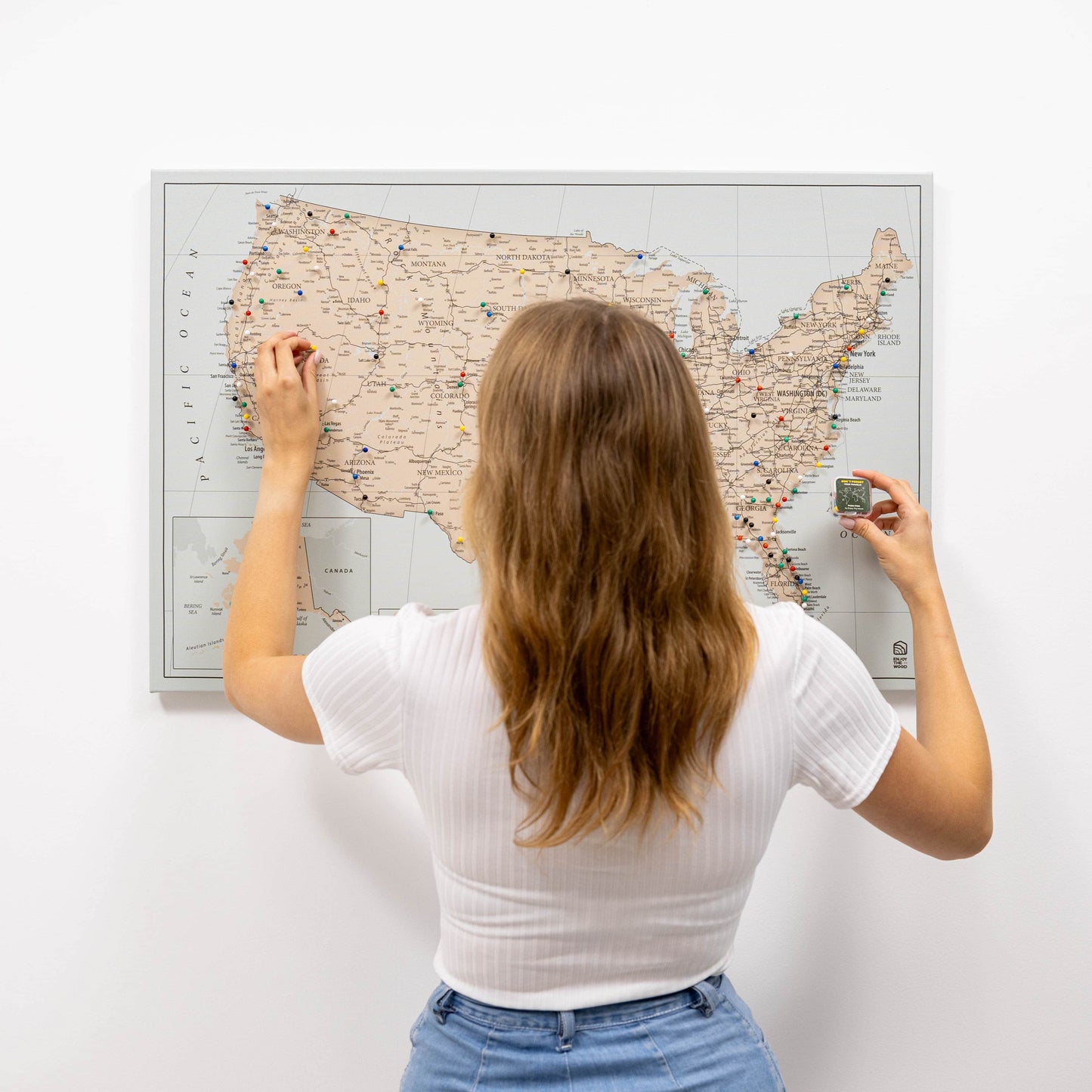 Antique Canvas USA Map Wall Art