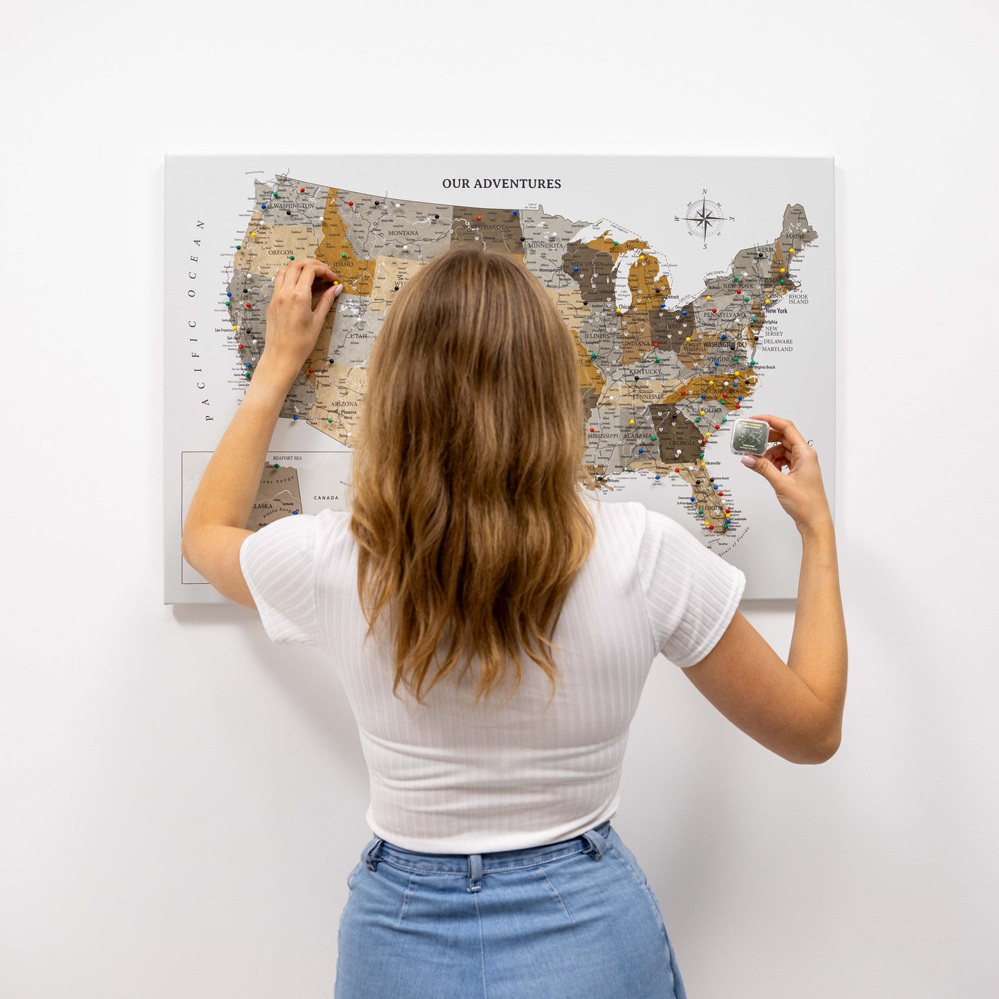 Desert Canvas USA Map Wall Art