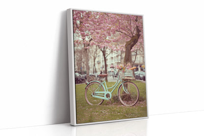 Cherry Blossom Bicycle Spring Wall Art Print