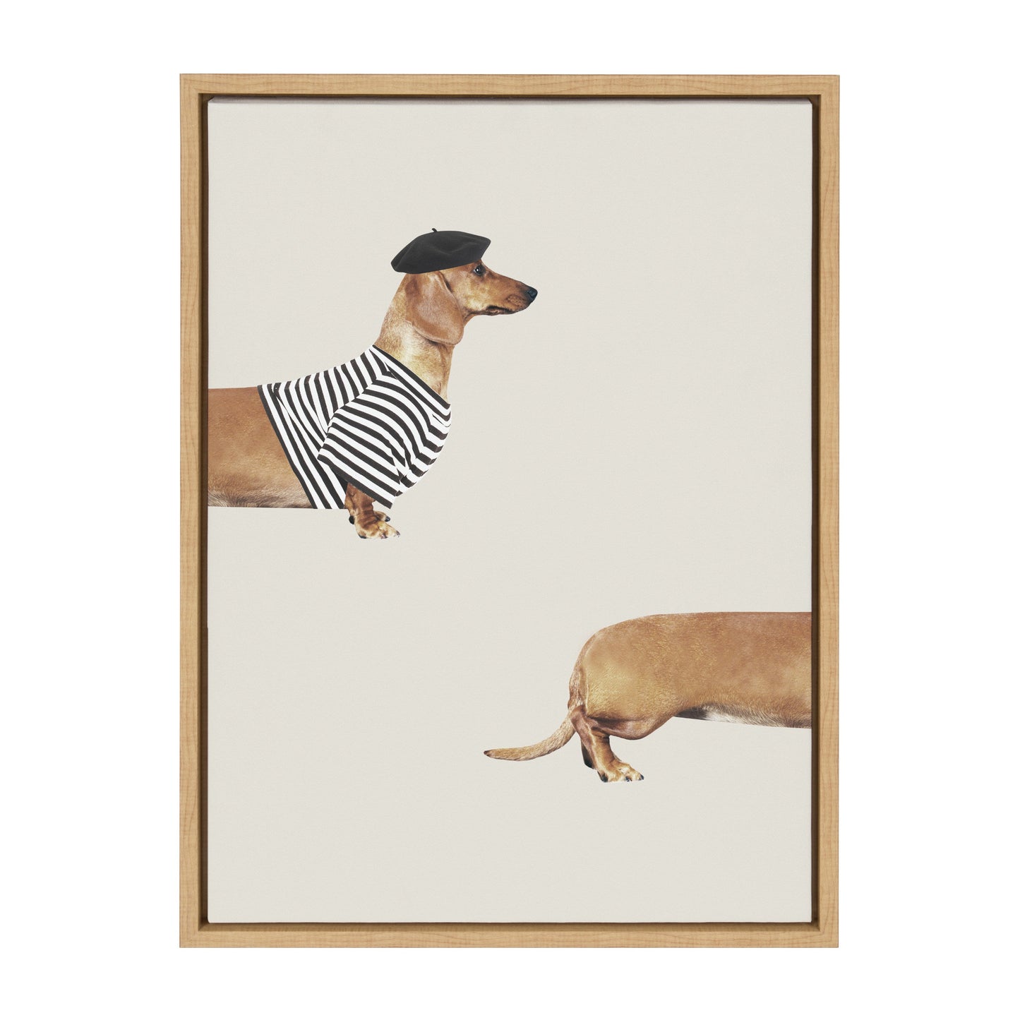 Long Dog Framed Canvas Wall Art