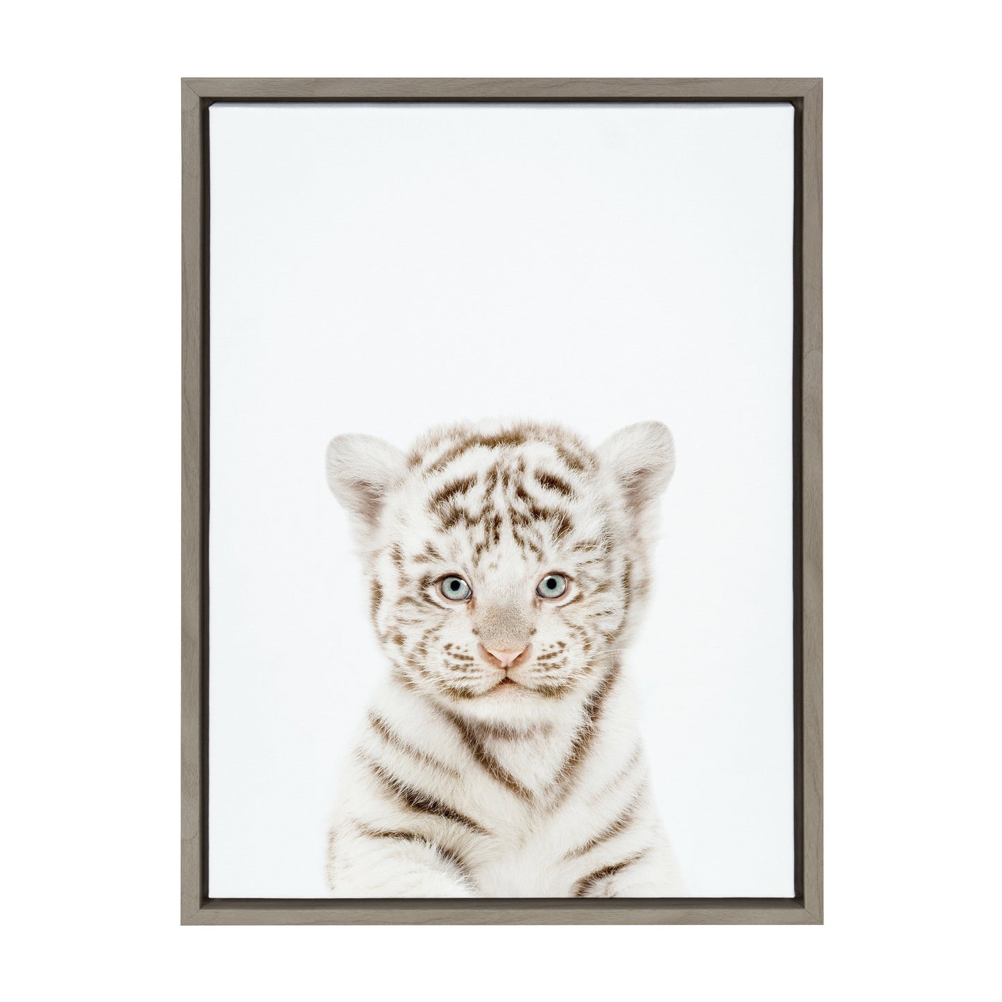 Baby White Tiger Framed Canvas Wall Art, Nursery Decor