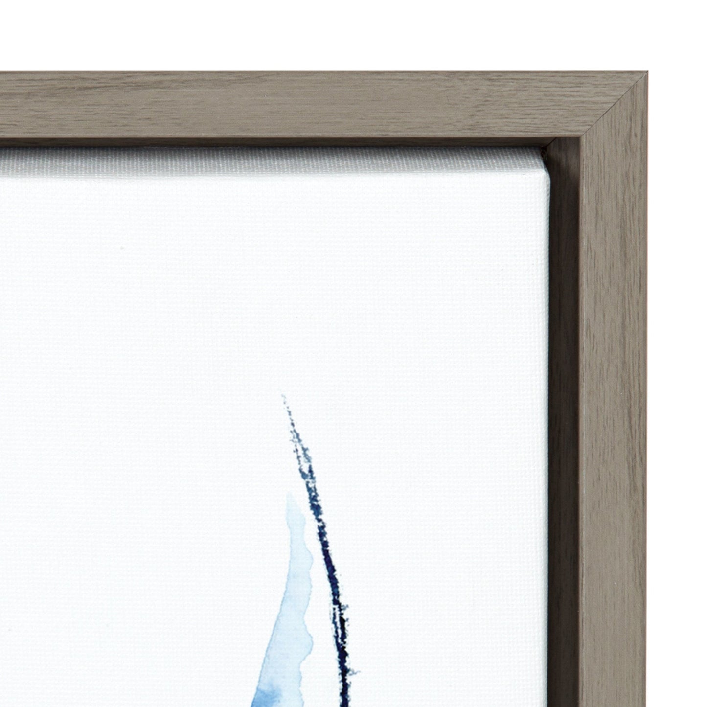 Whale Shark Framed Canvas Wall Art