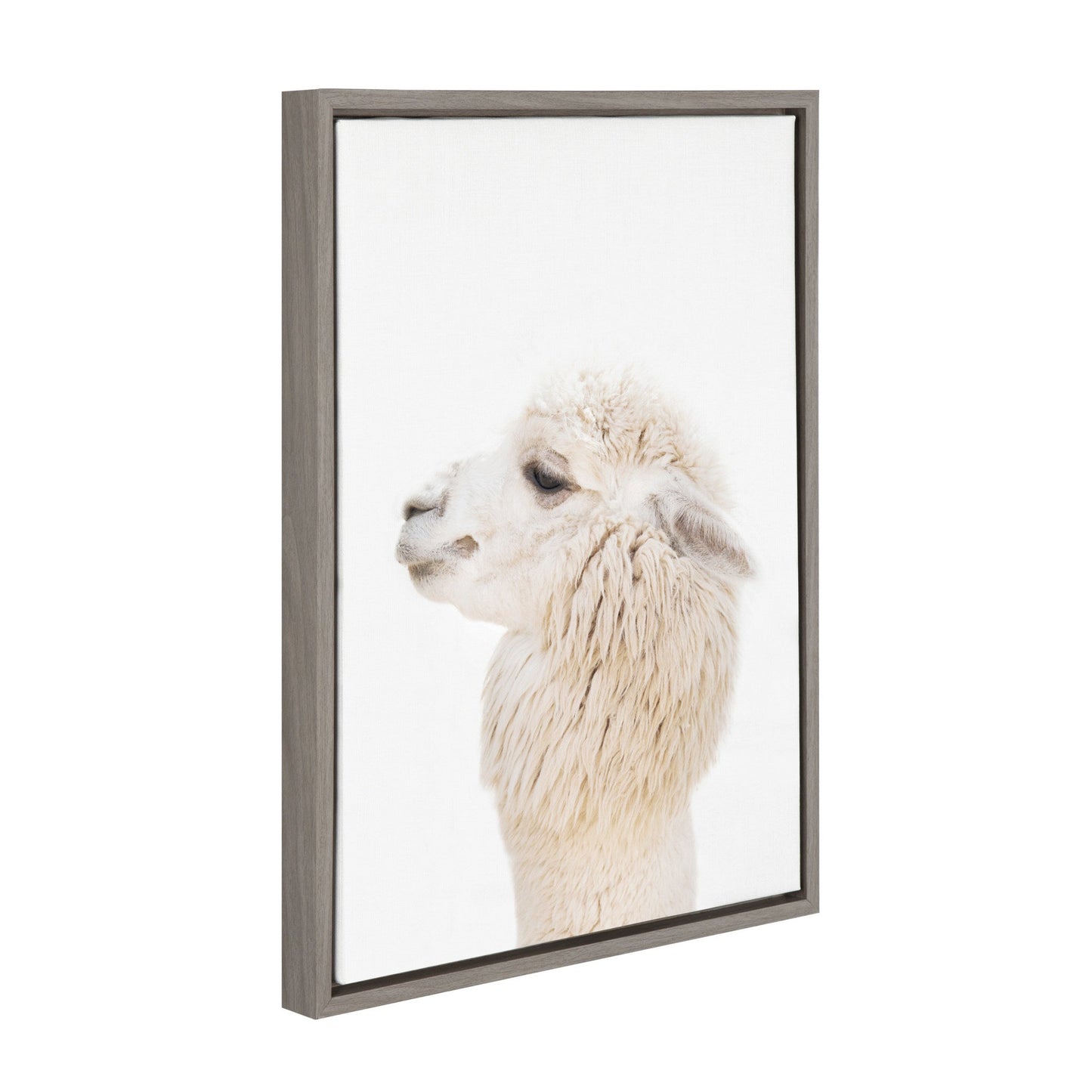 Alpaca Profile Framed Canvas Wall Art, Boho Farmhouse Decor