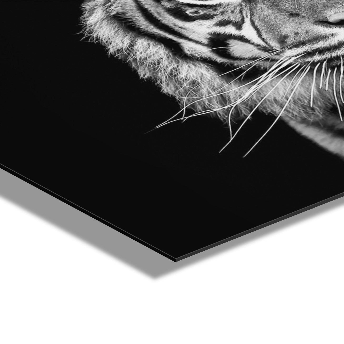 Minimalist Tiger Acrylic Wall Art