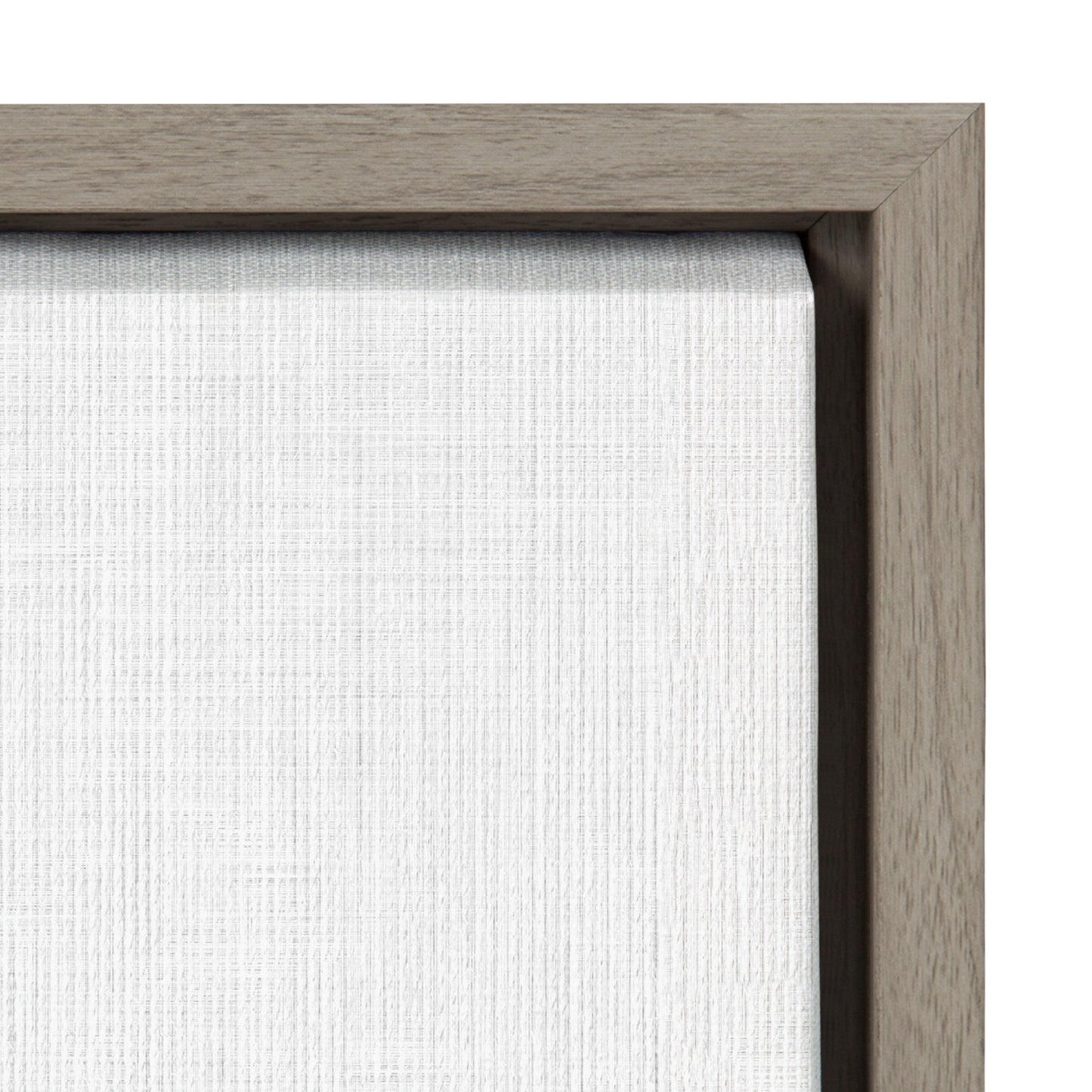Sylvie Baby Elephant Framed Canvas by Simon Te