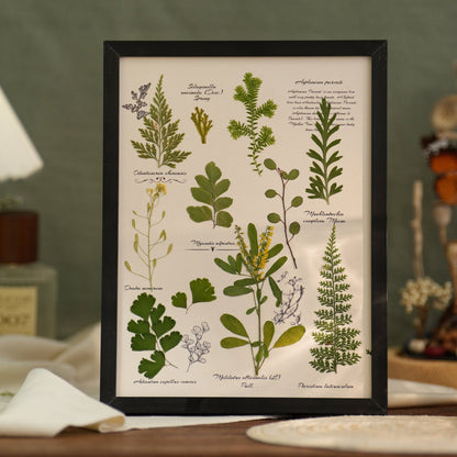 "The Botanist's Journal" Pressed Flower Art Frame