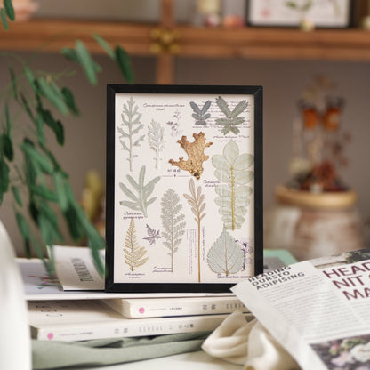 "The Botanist's Journal" Pressed Flower Art Frame
