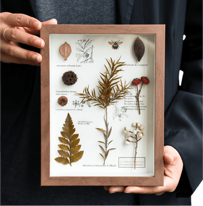 The Botanist's Journal pressed flower frame with real botanicals in a black frame, ready to hang