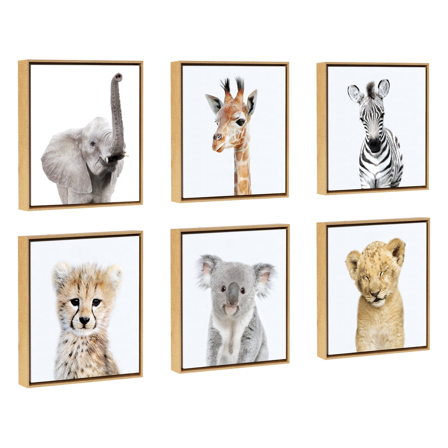 Safari Animals Framed Canvas Wall Art