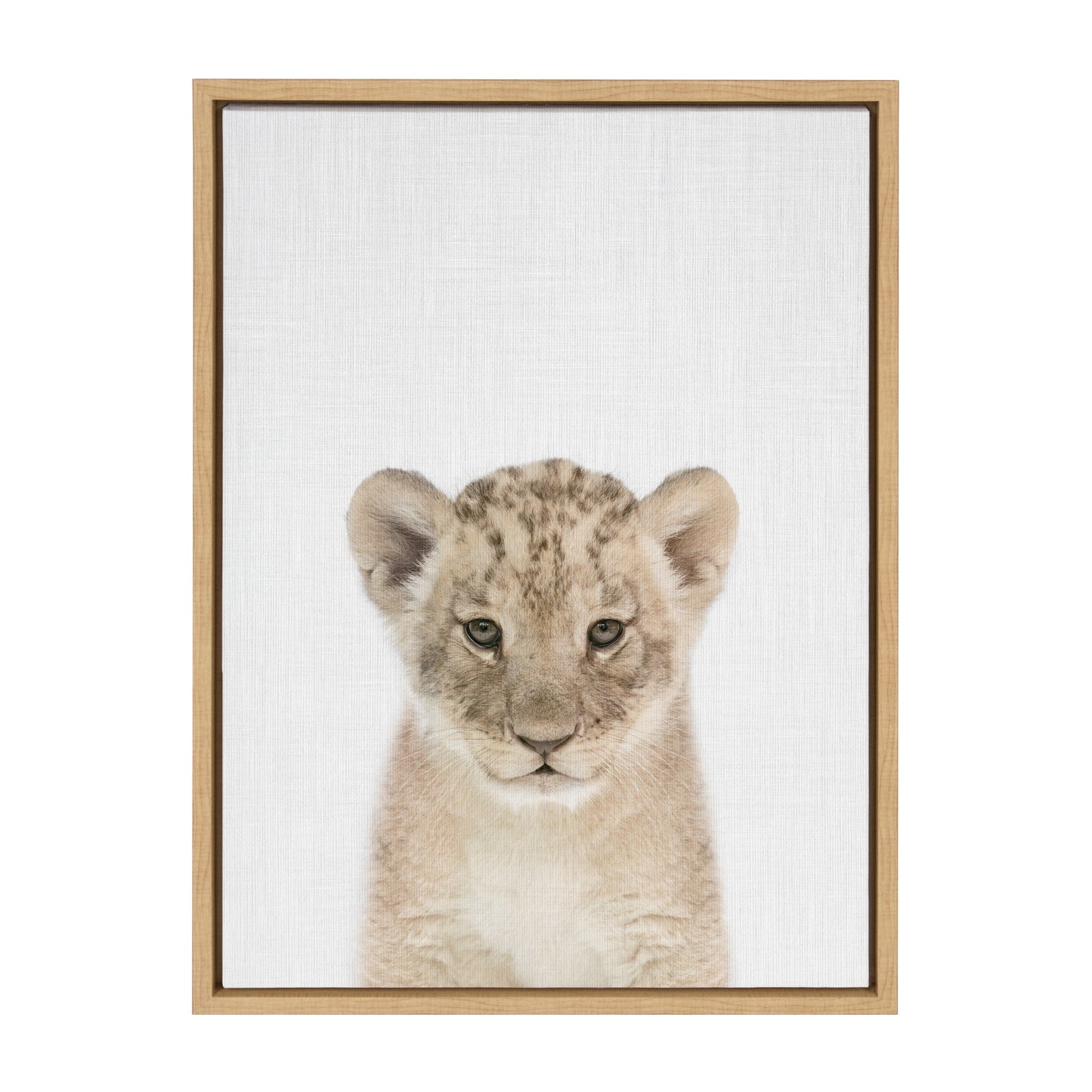 Sylvie Baby Lion Color Framed Canvas by Simon Te of Tai Prints
