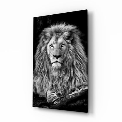 Regal resting lion monochrome glass wall art