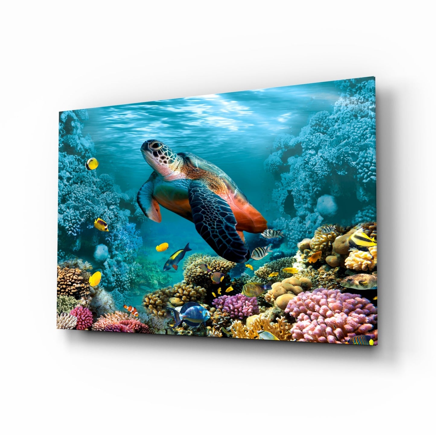 Underworld coral reef glass wall art
