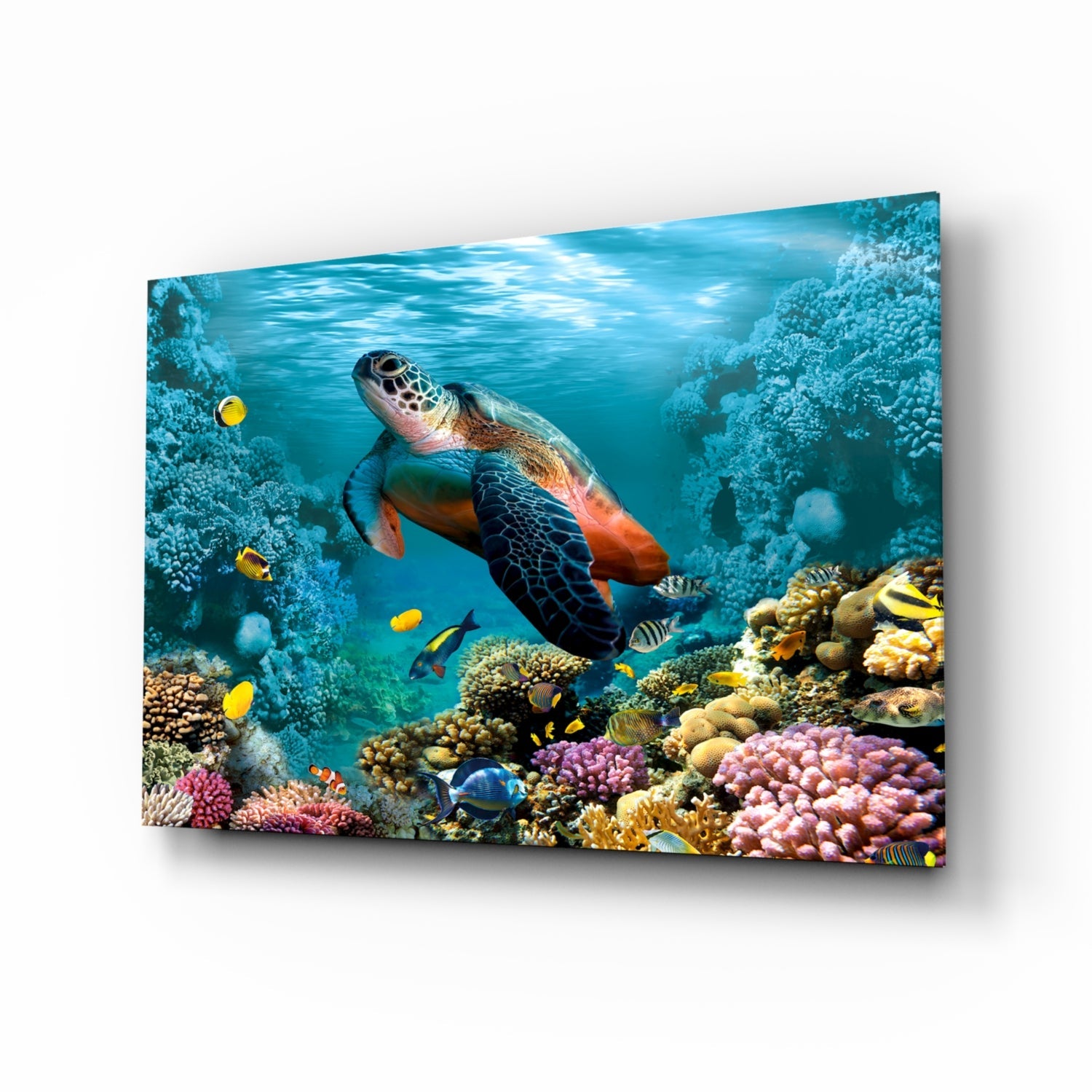 Underworld coral reef glass wall art