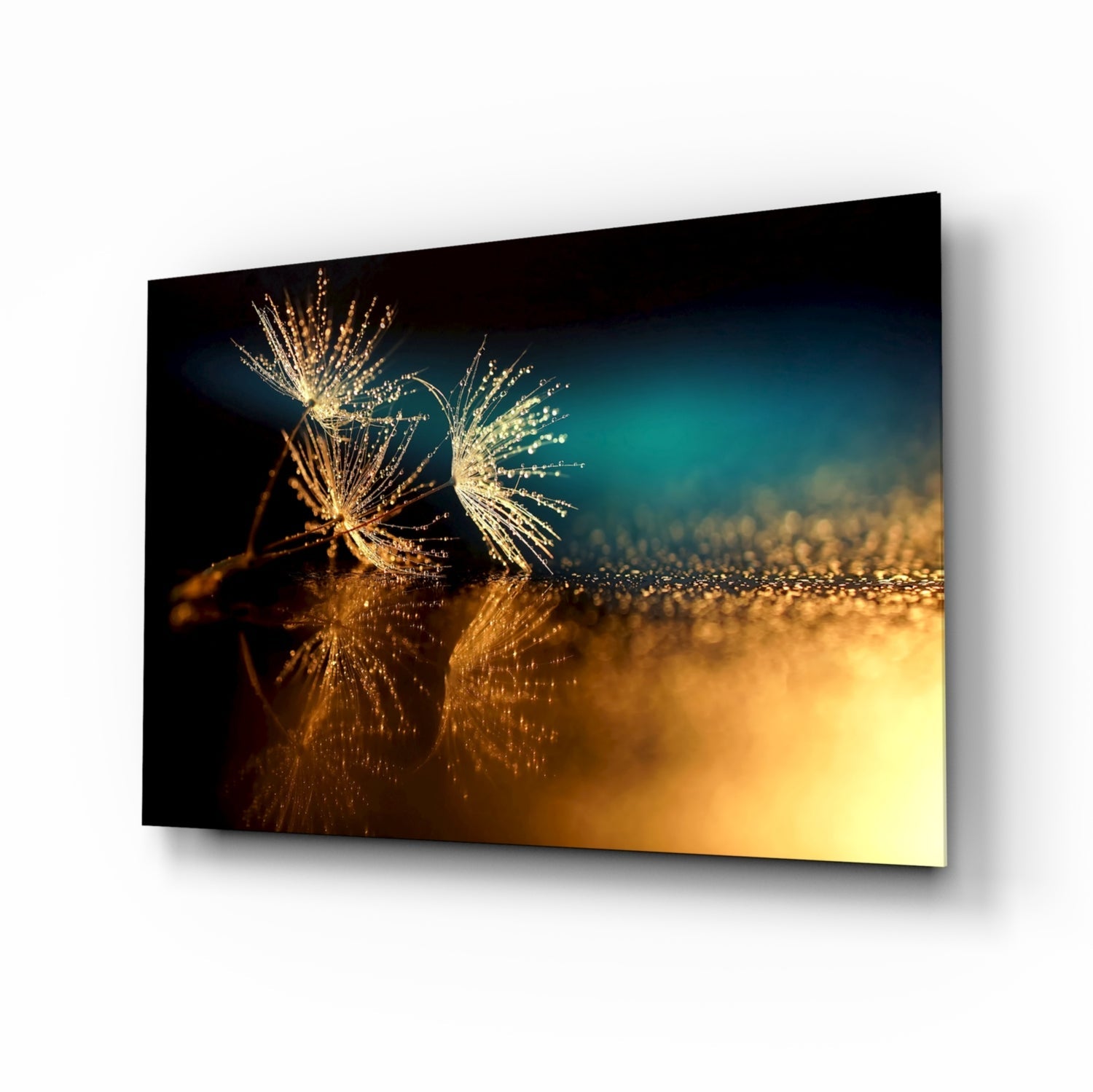 Golden Dandelion Seeds macro glass wall art