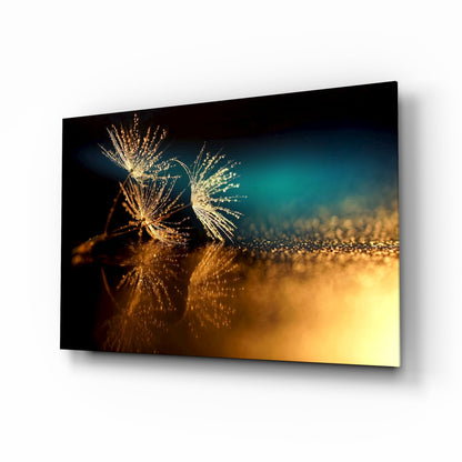 Golden Dandelion Seeds macro glass wall art