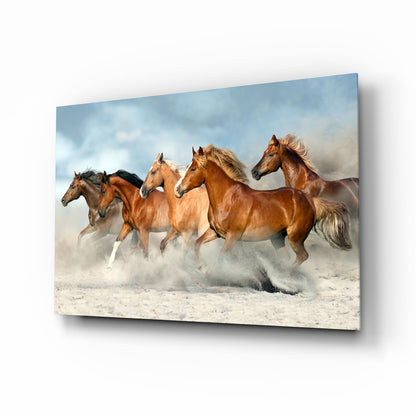 Chestnut herd running in dust glass wall art