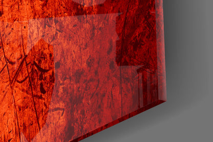 Congo Flag Glass Wall Art