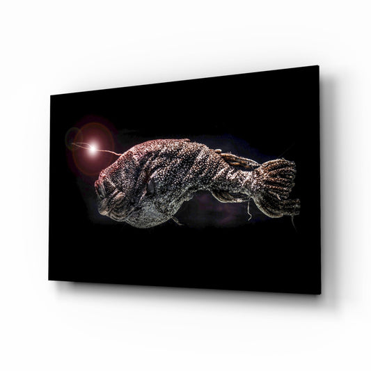 Deep sea anglerfish glass wall art, cinematic abyssal portrait, silver-rust scales on black background