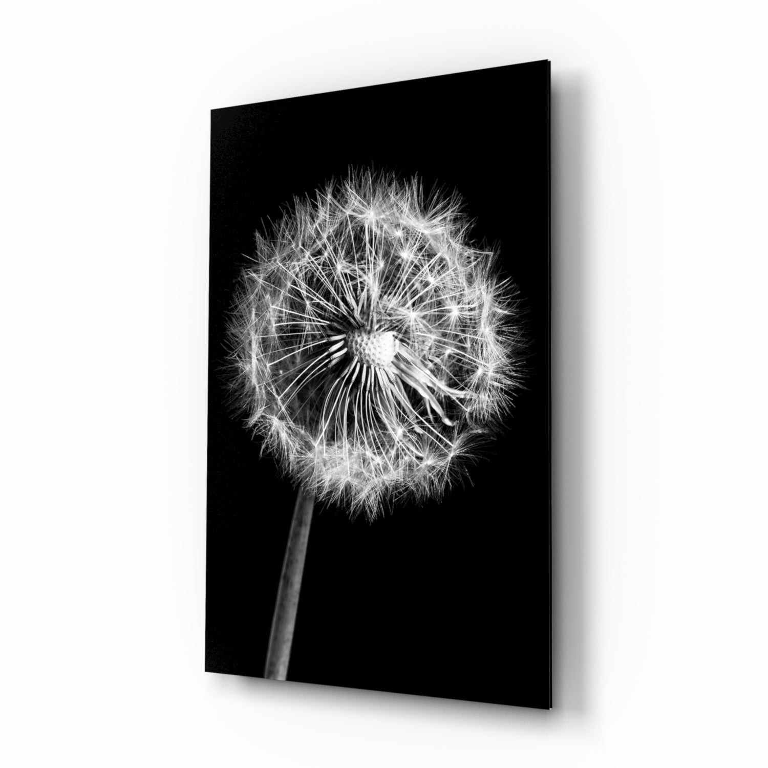 Dandelion Glass Wall Art on wall