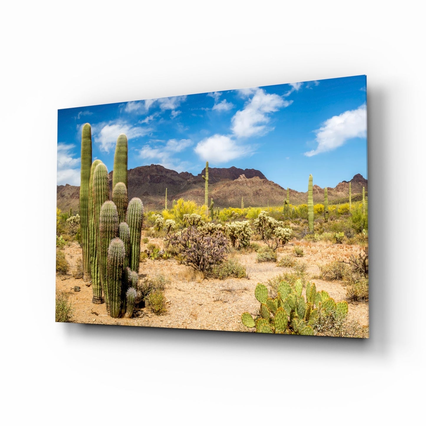 Saguaro cactus desert glass wall art print
