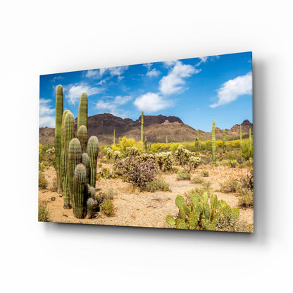 Saguaro cactus desert glass wall art print
