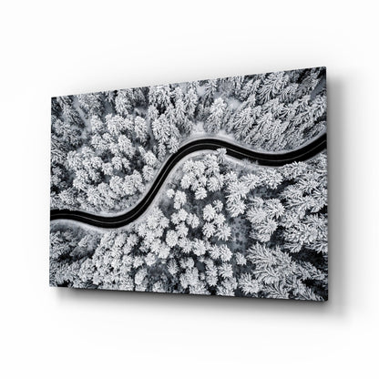 Forest Landscape Glass Wall Art