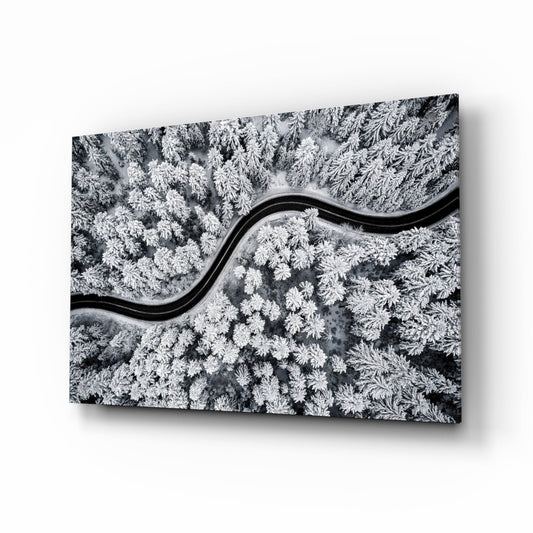 Aerial view of a black road winding in an S curve through a snow-covered pine forest, printed on glass