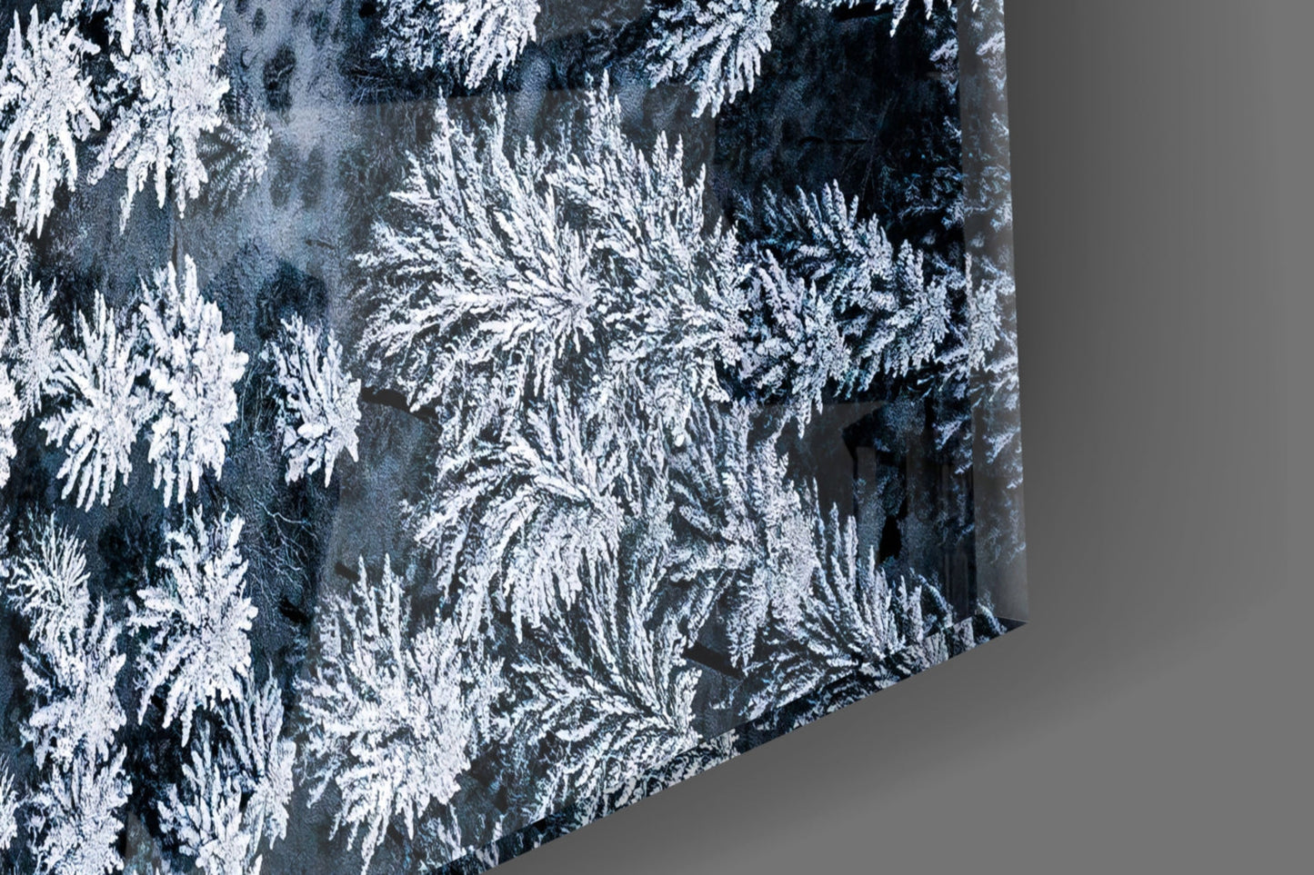 Snowy Forest Road Glass Wall Art