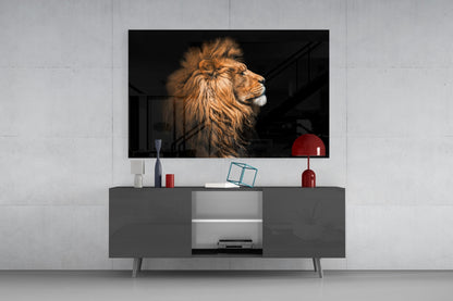 African Lion Glass Wall Art